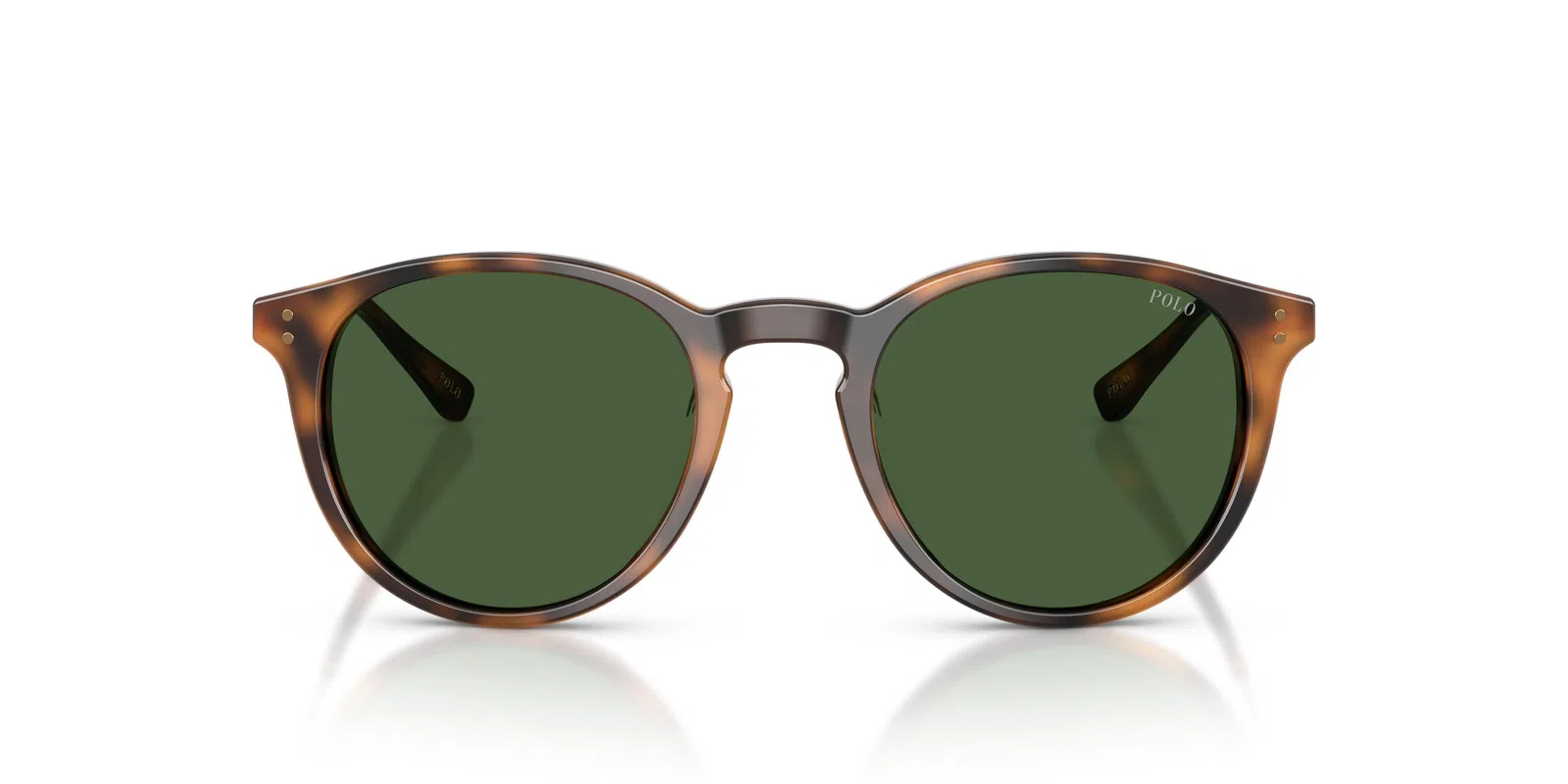 Polo 4239U Sunglasses - view 14
